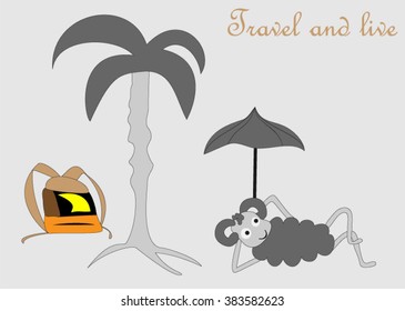 Sheep near palm trees