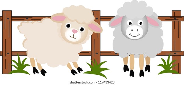 The sheep on the farm