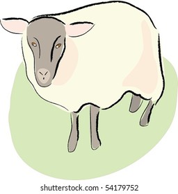 Sheep on a farm