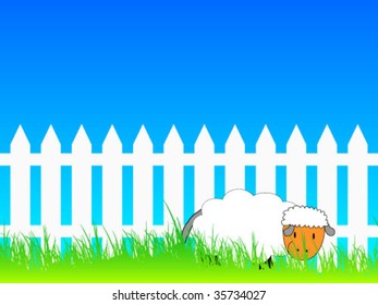 sheep on field
