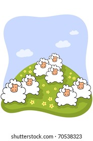 sheep on the meadow