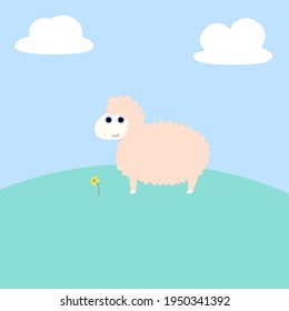 Sheep on the open  field