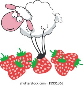 sheep on strawberry