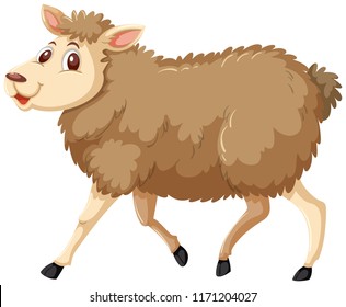 A sheep on white background illustration