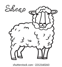 Sheep outline icon. Vector hand drawn graphic design on white background.