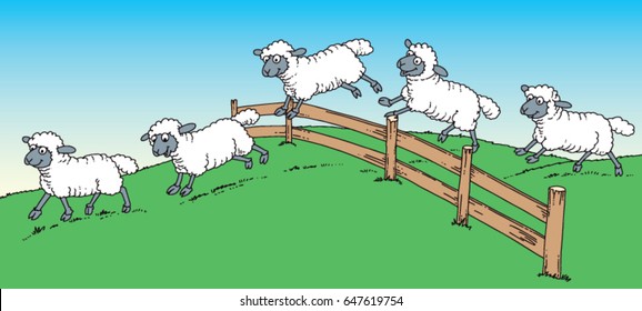 sheep over fence