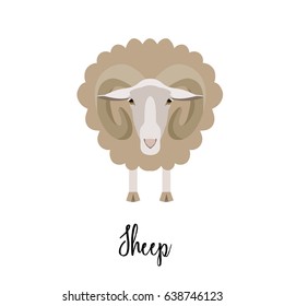 Sheep painted in a child's flat style. Cute lamb on a white background. Year of the sheep. Chinese horoscope. Sheep, wool. Animal. Vector.