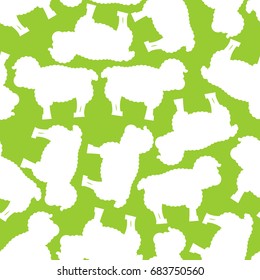 Sheep pattern. ewe ornament. Flock of sheeps. Farm animal background. Texture for baby cloth
