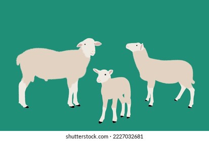 sheep pattern, vector illustration of cute sheeps. Sheep standing. vector illustration of engraving sheep hands drawing.