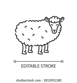Sheep pixel perfect linear icon. Farm wildlife, domestic animal. Livestock, husbandry thin line customizable illustration. Contour symbol. Lamb vector isolated outline drawing. Editable stroke