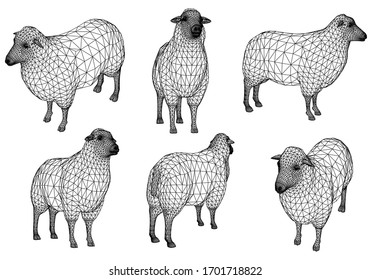 Sheep polygonal lines illustration. Abstract vector sheep on the white background
