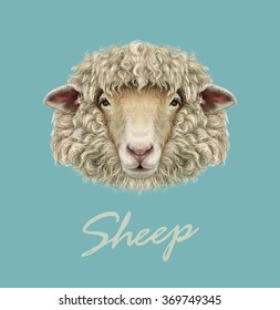 Sheep Portrait. Vector illustrated Portrait of  Ram or sheep on blue background.