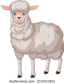A sheep pose on white background illustration