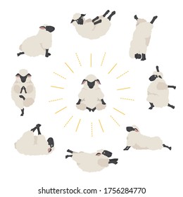 Sheep poses seamless pattern. Farm animals set. Flat design. Vector illustration