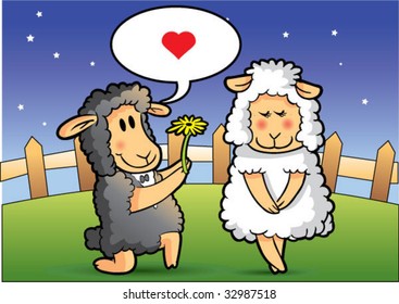 sheep propose marriage