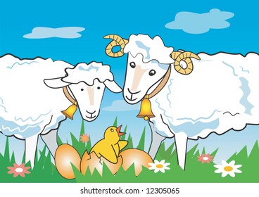Sheep, ram and chicken on a spring meadow. Vector illustration.