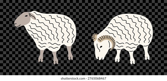 Sheep, ram, ewe and lamb, graphic design. Livestock, icelandic sheep, animal, agriculture and farming, vector design and illustration