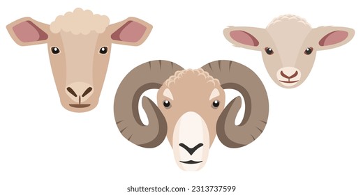 Sheep, ram and lamb face icons. Set of male and female farm animals head. Wool production. Sheeps faces isolated on white background. Vector flat or cartoon illustration.