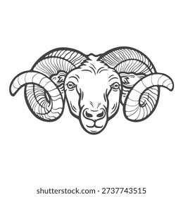 Sheep ram mutton, head, portrait, closeup, front view, horns, farm animal, lifestock engraving isolated