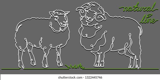 Sheep and ram vector flat illustration on gray background. Continuous line, creative design suitable for packaging