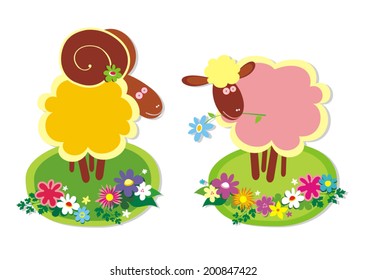 Sheep and ram. Vector illustration. 
