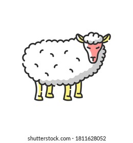 Sheep RGB color icon. Common countryside mammal, farm wildlife, domestic animal. Livestock breeding, husbandry, farming. Wooly lamb isolated vector illustration