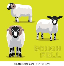 Sheep Rough Fell Cartoon Vector Illustration