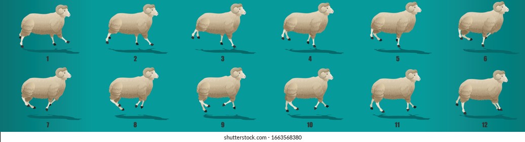 Sheep run cycle animation frames, loop animation sequence sprite sheet 