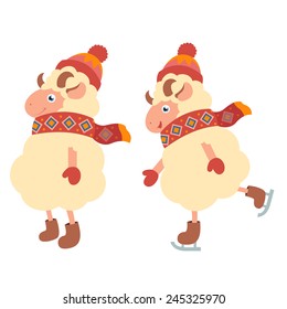 Sheep with scarf