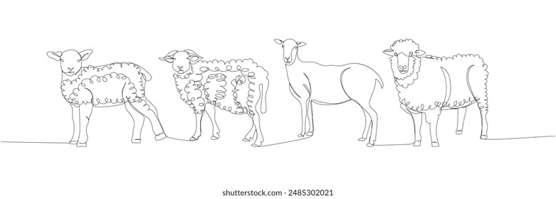 sheep set, ram, livestock one line art. Continuous line drawing of farm, nature, agriculture, farm animals, rural life, ranch.