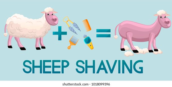 Sheep shaving process with instruments(blade shears,shaving machine,comb) with text isolated on blue background