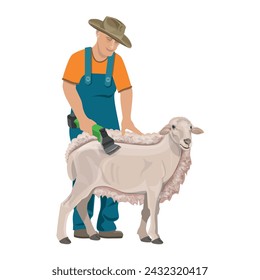 Sheep shearing. Farmer worker shearer cuts off the woolen fleece of a merino. Harvesting wool. Vector illustration isolated on a white background