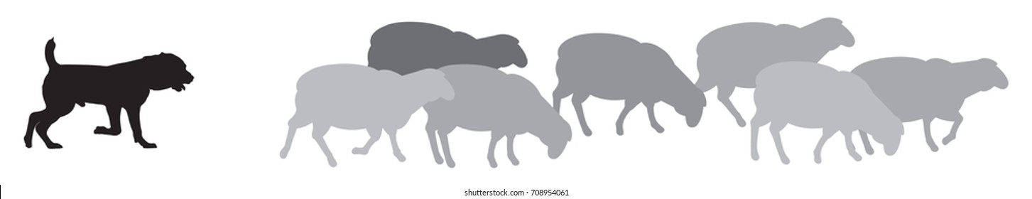 Sheep with Shepherd Dog Silhouettes, a guard sheepdog protects a flock of sheep from predators, livestock guardian dog, a type of pastoral dog bred vector illustration