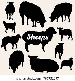 Sheep Silhouette Collection 