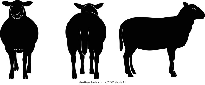 Sheep silhouette collection with front back side animal perspectives