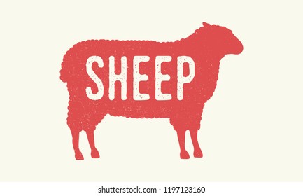 Sheep. Sheep Silhouette With Grunge Texture. Vintage Poster. Typography. Vector Illustration.