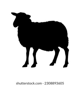 Sheep silhouette isolated on white background. Vector illustration