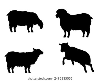 Sheep Silhouette Isolated On White Background