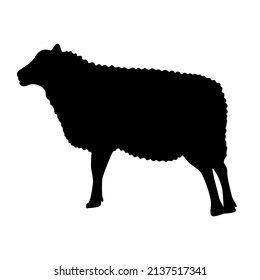 Sheep Silhouette Isolated Vector Illustration Farm Stock Vector ...