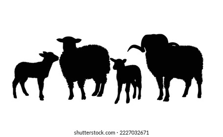  Sheep silhouette. Mammal element illustration in simple flat style isolated on white background. Vector symbol design from farm collection. 