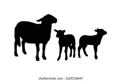  Sheep silhouette. Mammal element illustration in simple flat style isolated on white background. Vector symbol design from farm collection. 