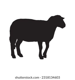 sheep silhouette set collection isolated black on white background vector illustration