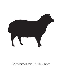 sheep silhouette set collection isolated black on white background vector illustration