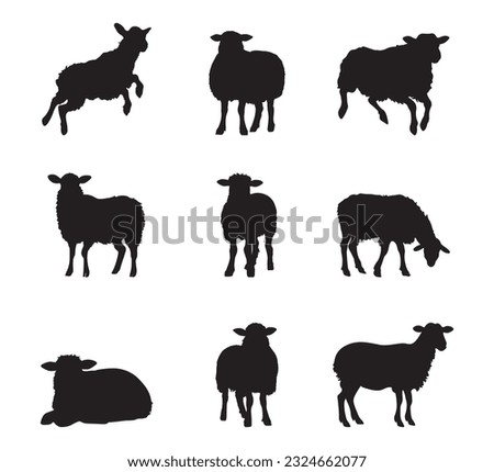 Sheep silhouette set - isolated vector images of wild animals