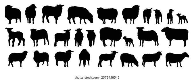 sheep silhouette set. sheep and lamb isolated farm animal silhouette icon vector collection. Vector illustration