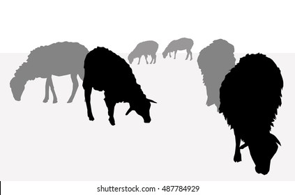 Sheep Silhouette Set - Vector