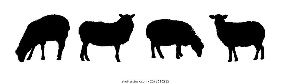 sheep silhouette set - vector illustration