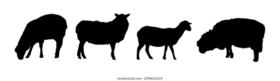 sheep silhouette set - vector illustration
