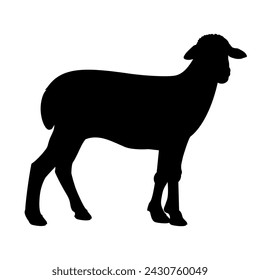 Sheep silhouette side view. Farm animal. Lamb icon. Vector illustration isolated on a white background