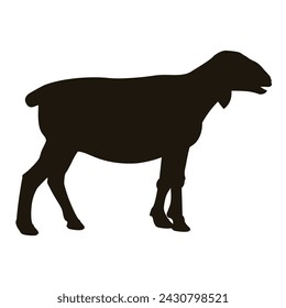 Sheep silhouette side view. Lamb icon. Farm animal. Vector illustration isolated on a white background svg